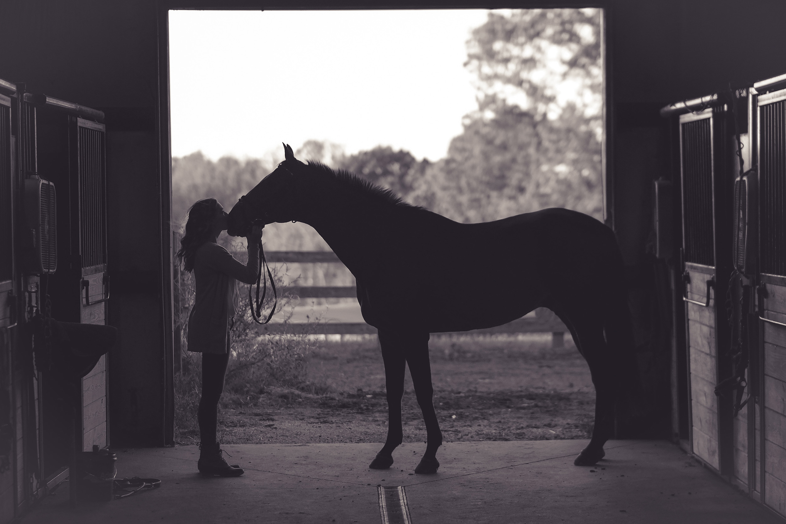 Woman kiss a horse