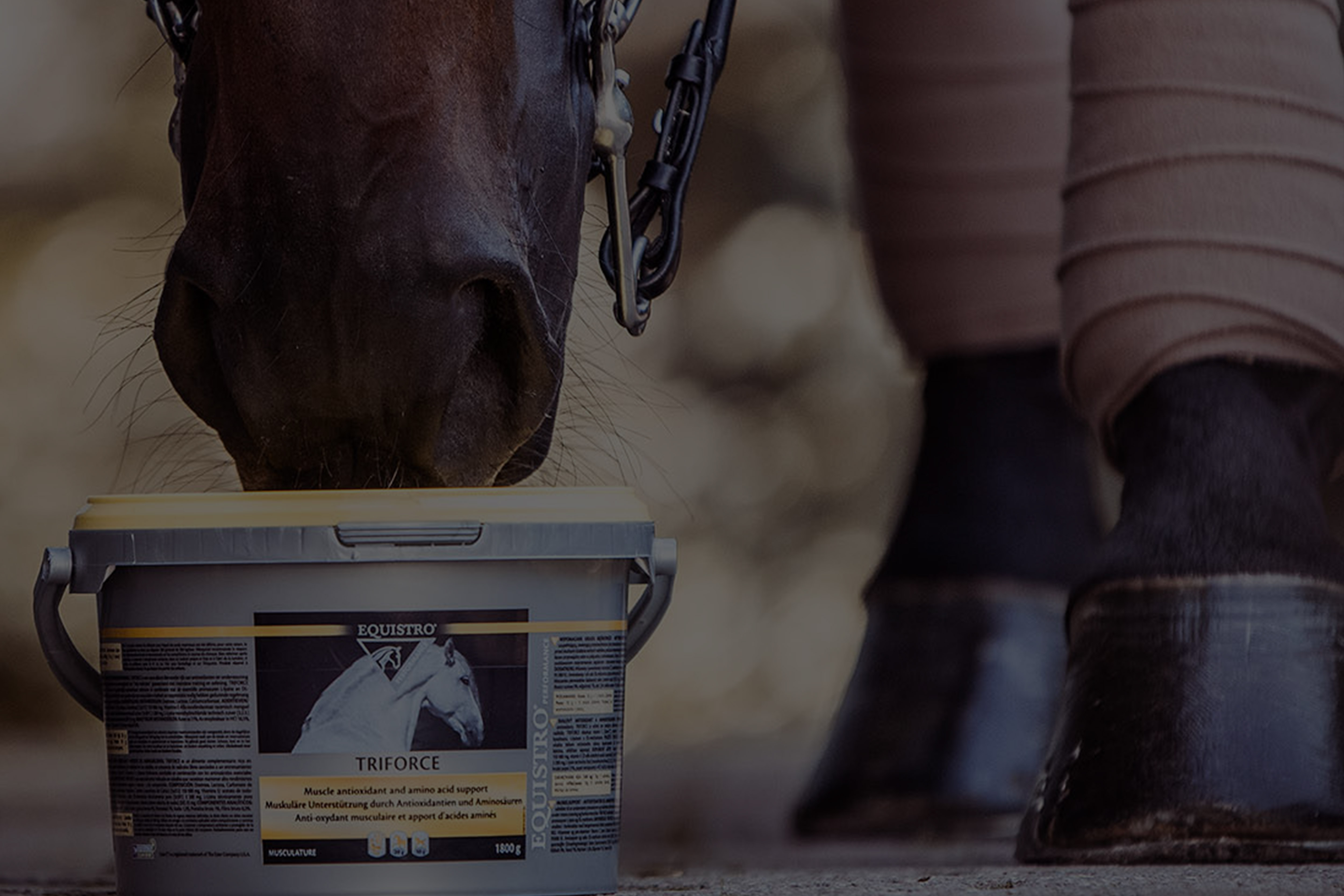 EQUISTRO high quality equine supplements